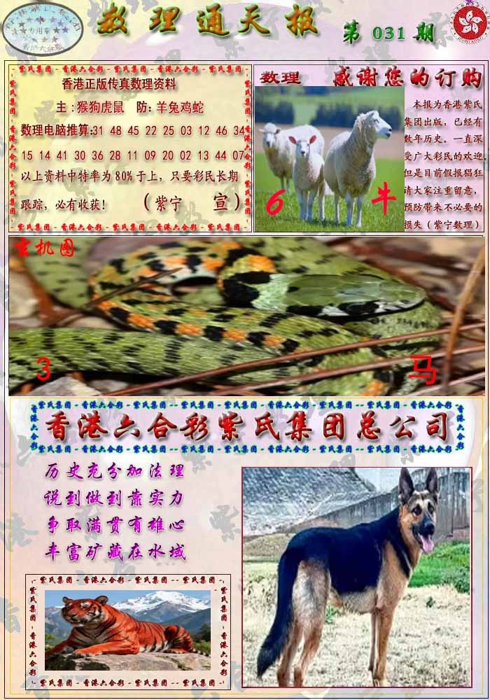 031期数通报[图]